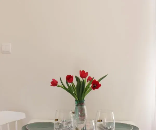 Krakowskie 36 - Double Two * Λούμπλιν